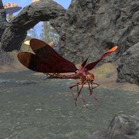 ON-creature-Dragonfly 02.jpg