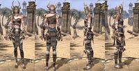 ON-item-armor-Homespun-Jerkin-Barbaric-Female.jpg