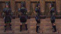 ON-item-armor-Ivory Brigade Medium Female.jpg