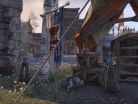 ON-place-Riften Rustic Collections.jpg