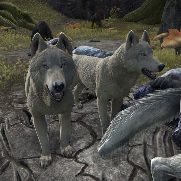 600px-ON-creature-Dire_Wolf_05.jpg