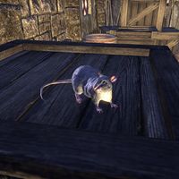 ON-creature-Rat 03.jpg
