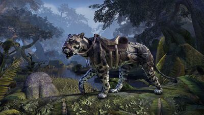 Online:Clouded Senche-Leopard - The Unofficial Elder Scrolls Pages (UESP)