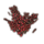 ON-icon-furnishing-Plant, Lava Brier.png
