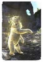 ON-card-Sovngarde Bear Cub.png