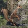 ON-pet-Graht-Oak Squirrel.jpg