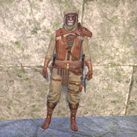 ON-costume-Ancient Sites Explorer (male).jpg