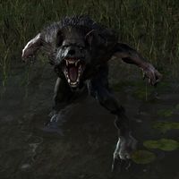 ON-creature-Werewolf.jpg