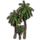 ON-icon-furnishing-Trees, Shade Palm Cluster.png