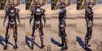 ON-item-armor-Breton Medium 4 Male.jpg