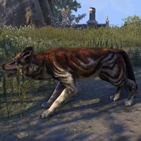 ON-creature-Dire Wolf 02.jpg