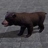 ON-furnishing-Black Bear Cub.jpg
