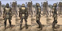 ON-item-armor-Breton Heavy 4 Male.jpg