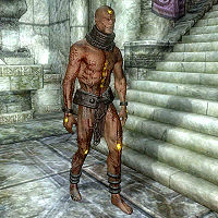 SI-creature-Flesh Atronach 11b60.jpg