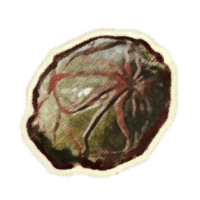 OBR-icon-ingredient-Red Kelp Gas Bladder.png