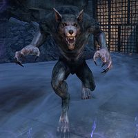 ON-creature-Werewolf Bloodcaller.jpg