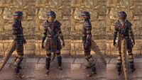 ON-item-armor-Argonian Medium 2 Male.jpg