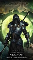 ON-wallpaper-Shadow Over Morrowind-750x1334.jpg