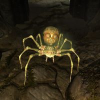SR-creature-Poisonous Cloaked Spider.jpg
