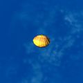 Thumbnail for version as of 01:35, 22 April 2025