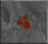 DF-icon-ingredient-Red berries.png