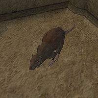 MW-creature-Game Rat.jpg