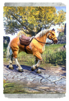 ON-card-Palomino Horse.png