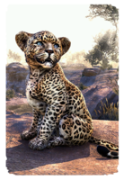 ON-card-Senche-Leopard Cub.png