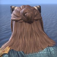 ON-hairstyle-Topknot Cascade (Khajiit) 03.jpg