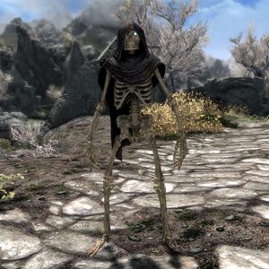 Skyrim Conjure Skeleton Warlock The Unofficial Elder Scrolls Pages UESP   300px SR Creature Skeleton Warlock 