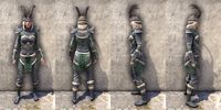 ON-item-armor-Huntsman Medium Female.jpg