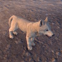 ON-creature-Dire Wolf Pup 02.jpg