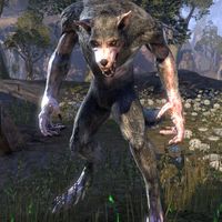 ON-creature-Werewolf (Kerbol's Hollow).jpg