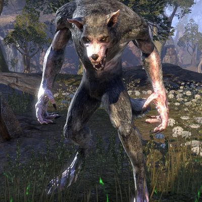 Online:Werewolf (NPC) - The Unofficial Elder Scrolls Pages (UESP)