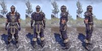 ON-item-armor-Nord Light Jerkin 4 Male.jpg
