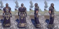 ON-item-armor-Nord Light Robe 4 Male.jpg