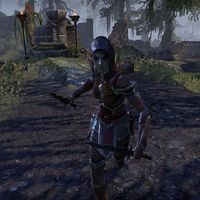 Online:General Nedras - The Unofficial Elder Scrolls Pages (UESP)