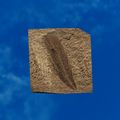 Thumbnail for version as of 01:35, 22 April 2025