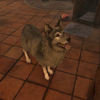 OBR-creature-Rohssan's Dog.jpg