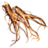 ON-icon-food-Ginseng.png