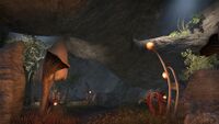 ON-interior-Taleon's Crag 02.jpg