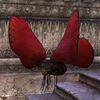 ON-pet-Carmine Wood Moth.jpg