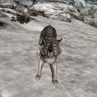 BS5C-creature-Wolf.jpg