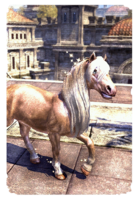 ON-card-White-Gold Imperial Pony.png