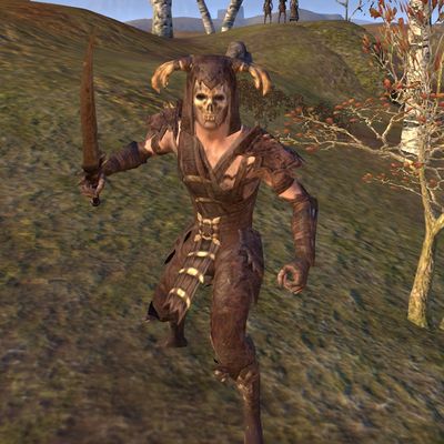 Online:Boneshaper Clanslayer - The Unofficial Elder Scrolls Pages (UESP)