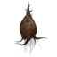 SR-icon-ingredient-Corkbulb Root.png