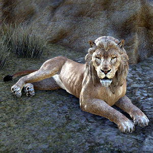 ON-creature-Lion.jpg