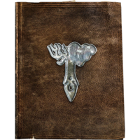 SR-icon-book-SpellTomeAlteration 02.png