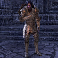 Elder Scrolls Wiki on X: Darien Gautier is a Breton captain of the Camlorn  Guard. Alinon the Alchemist describes him as a better tactician than his  father, General Gautier, even if he