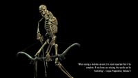 BS5C-load-When raising a skeleton servant, it is most important that it be complete.jpg